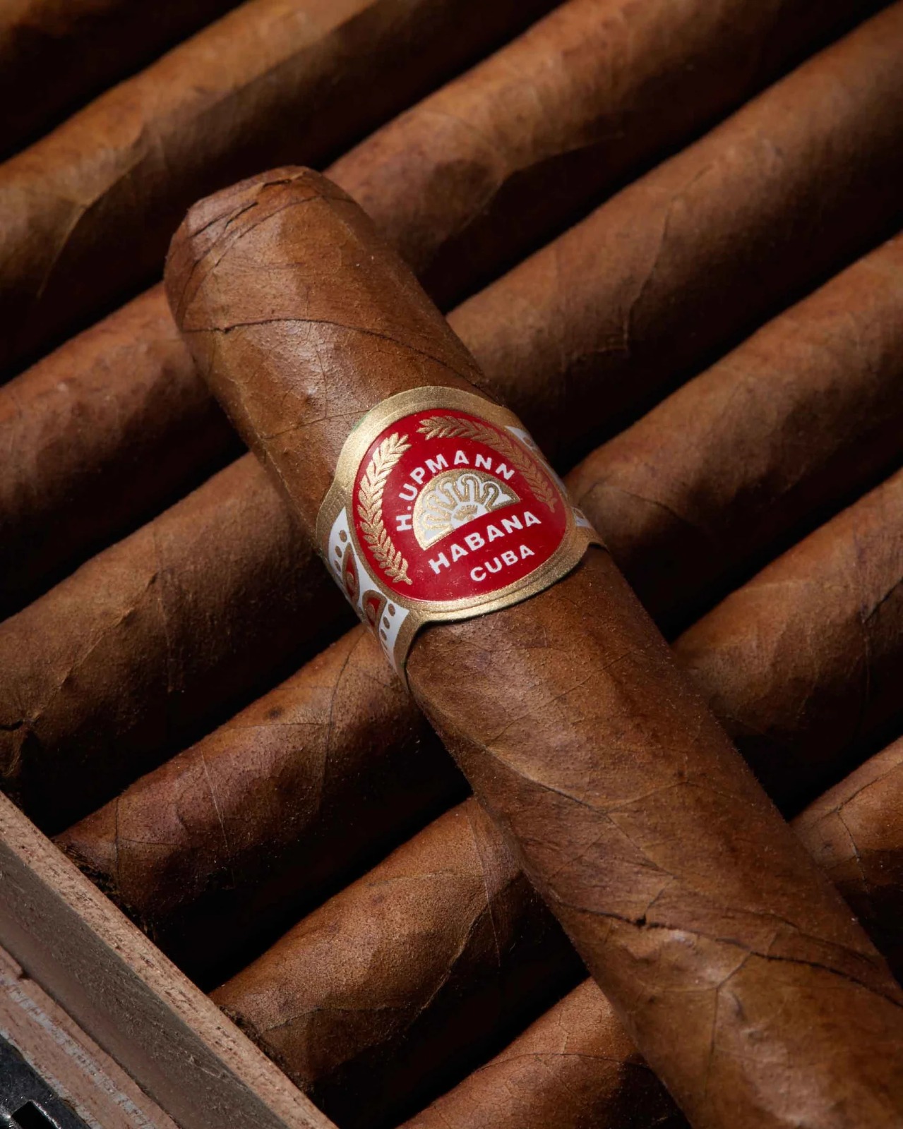 H. Upmann Sir Winston - Image 3