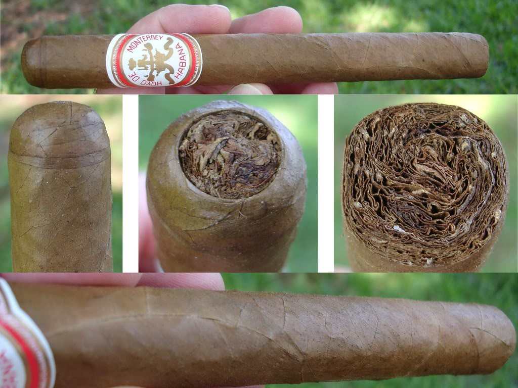 Hoyo De Monterrey Churchills - Image 2