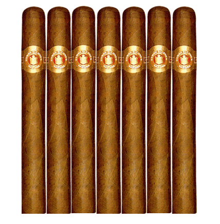 Ramon Allones Coronas