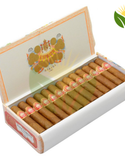 H Upmann Half Corona - High Resolution