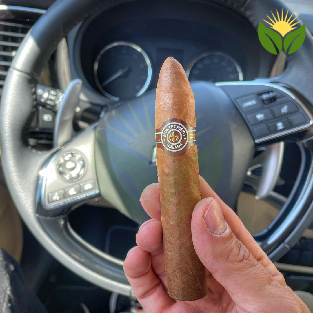 Montecristo Petit No 2 Cigar Close-up - Premium Quality
