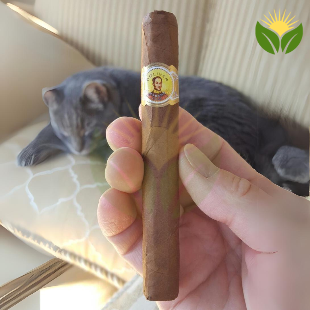 Bolivar Petit Coronas Box View - Authentic Habanos