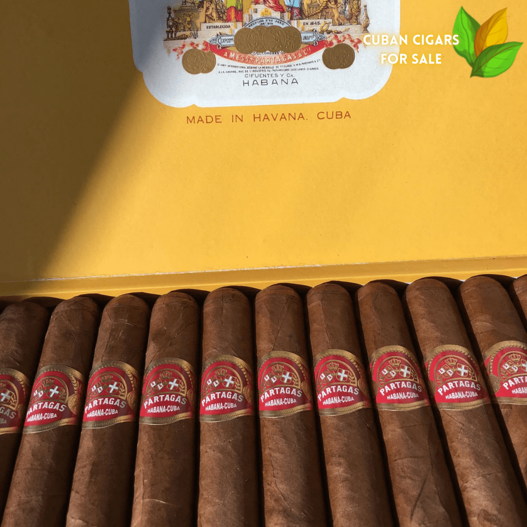 Comparing Partagas Serie D No. 4 and Serie E No. 2 - Which is Right for You? 1 Partagas Lusitanias