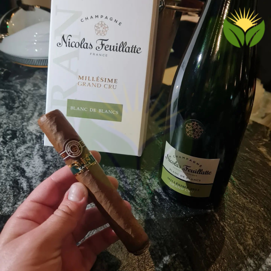 Montecristo Open Eagle - Large Format Cuban Cigar 4 Montecristo Open Eagle Cigar Close-up - Premium Quality