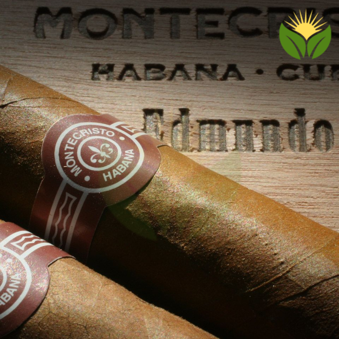Montecristo Edmundo Box View - Authentic Habanos