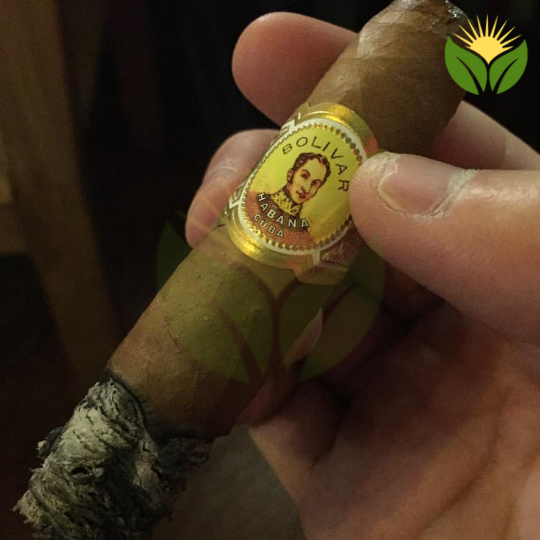 Bolivar Belicosos Cigar Close-up - Premium Quality