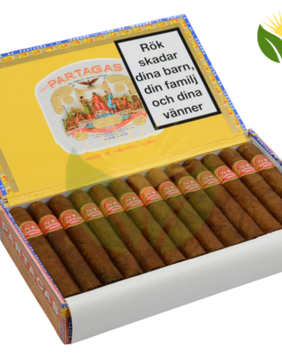 Partagas Shorts - High Resolution