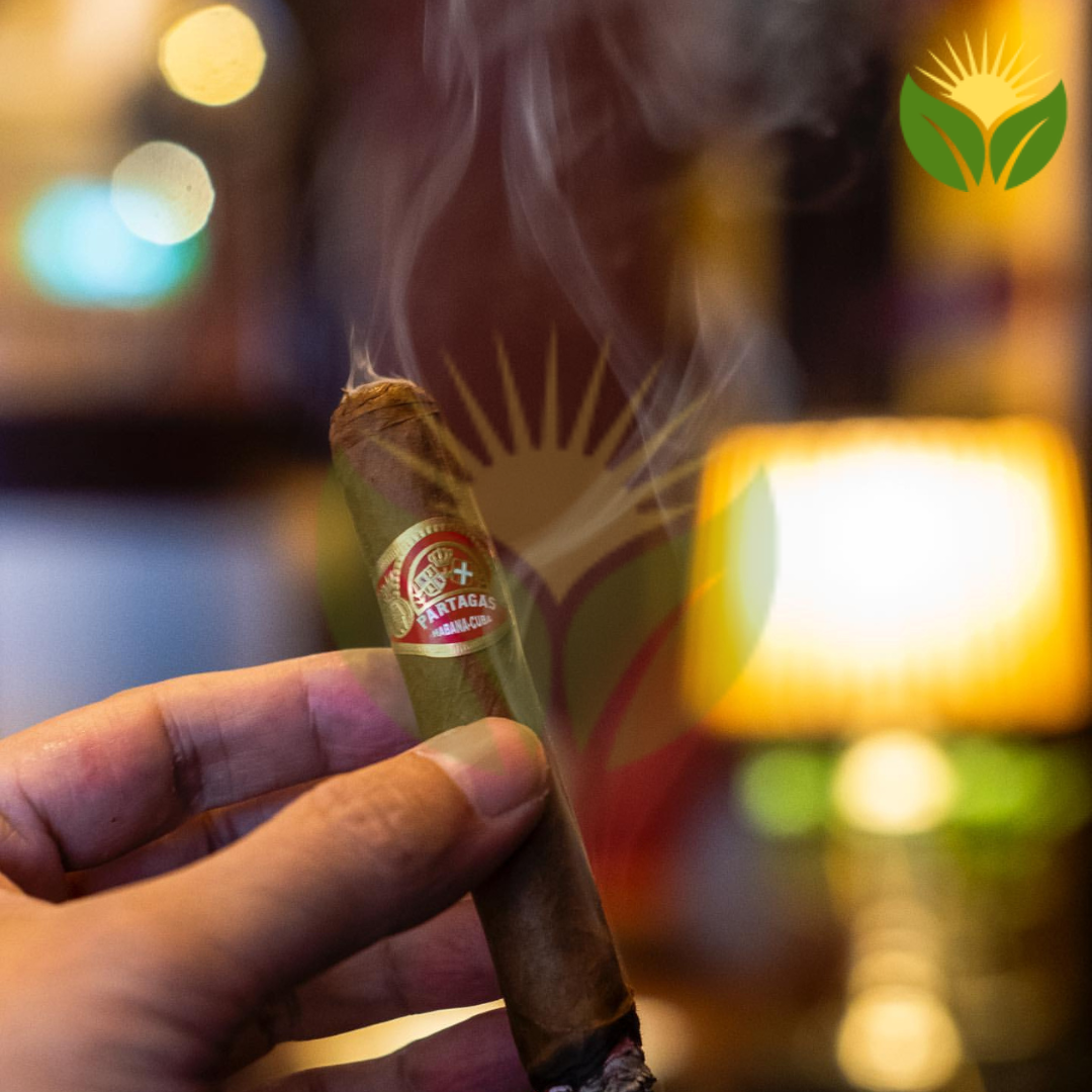 Partagas Shorts Cuban Cigars - Detail View