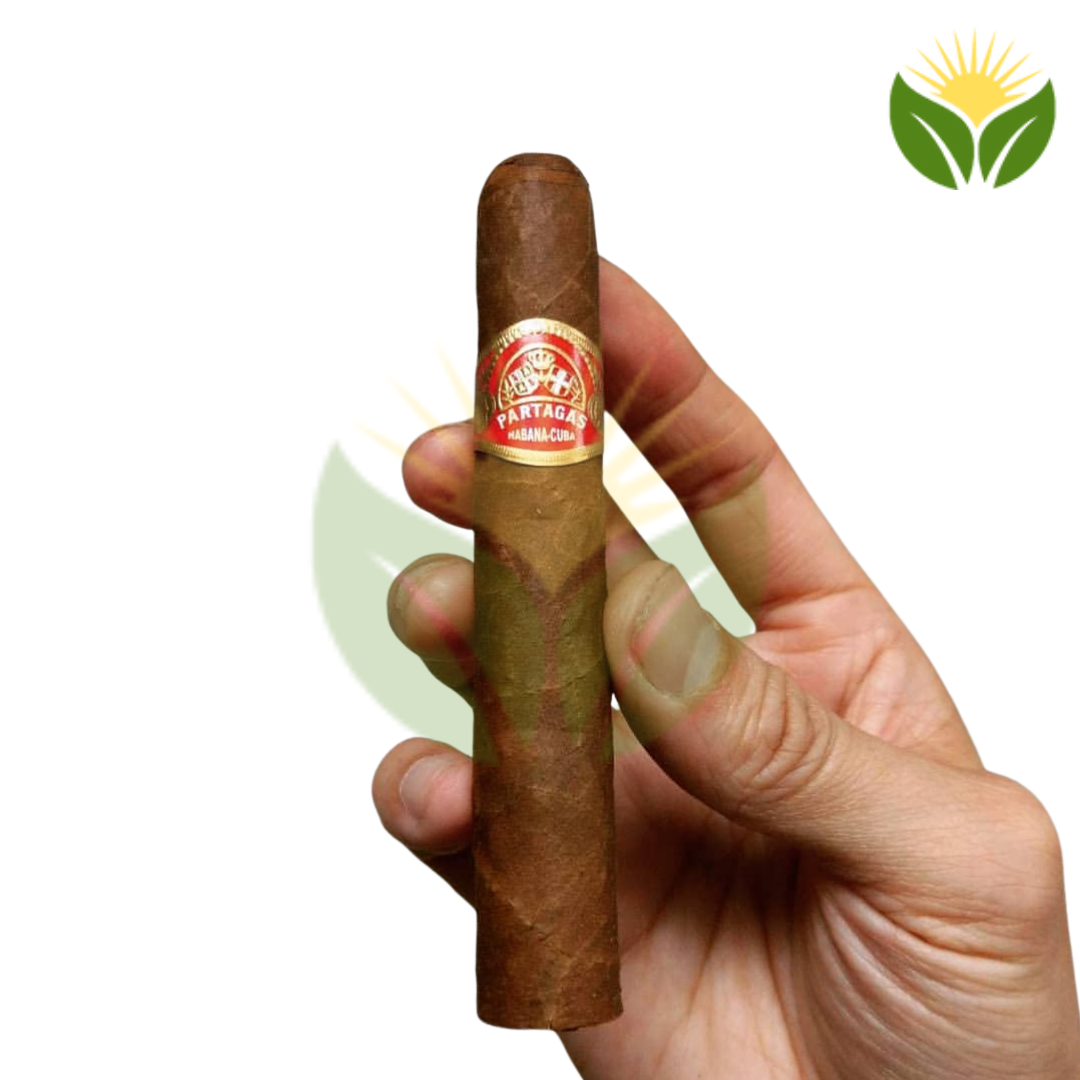 Partagas Shorts Cigar Close-up - Premium Quality