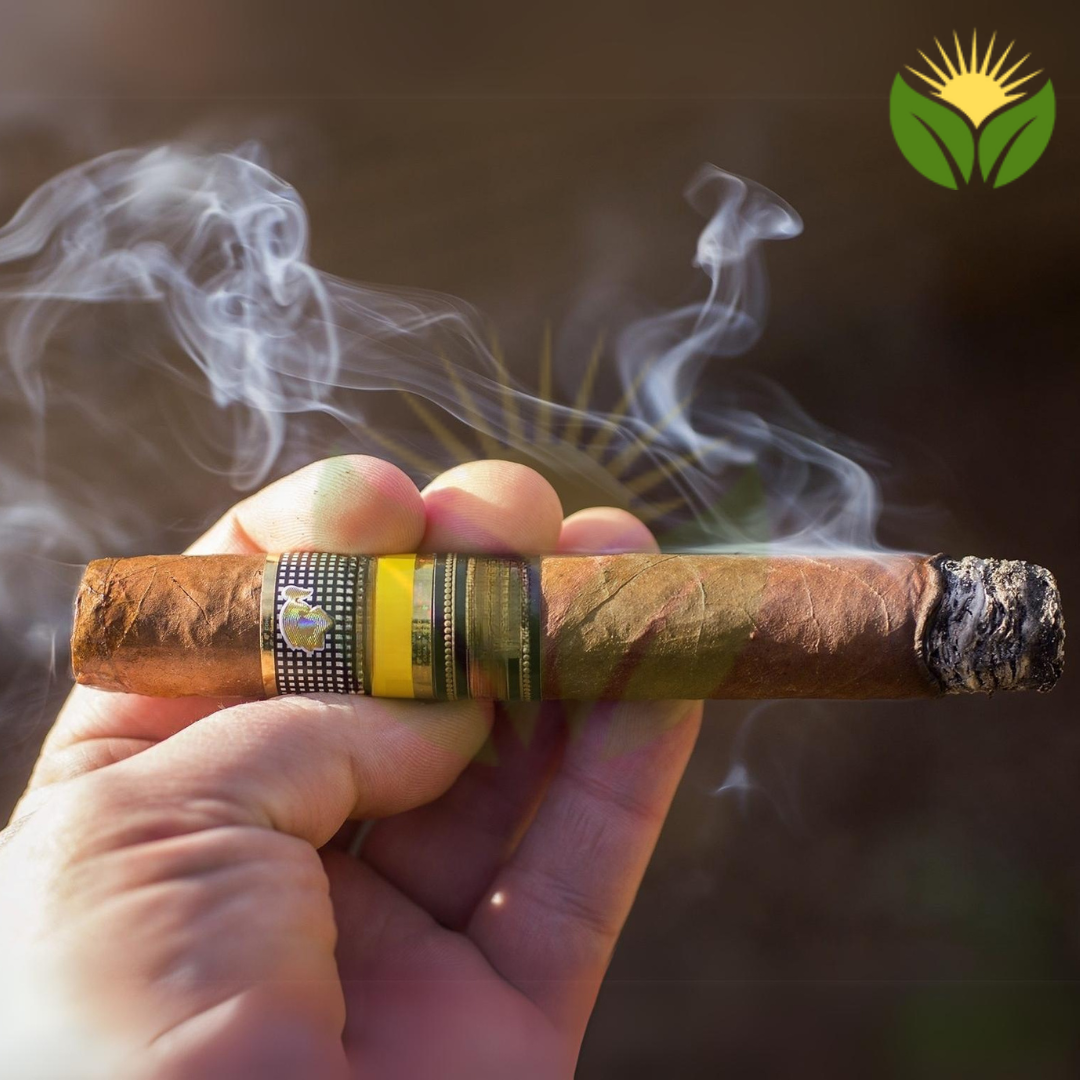 Cohiba Talisman Cuban Cigar - Image 1