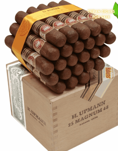 H Upmann Magnum 56 - High Resolution