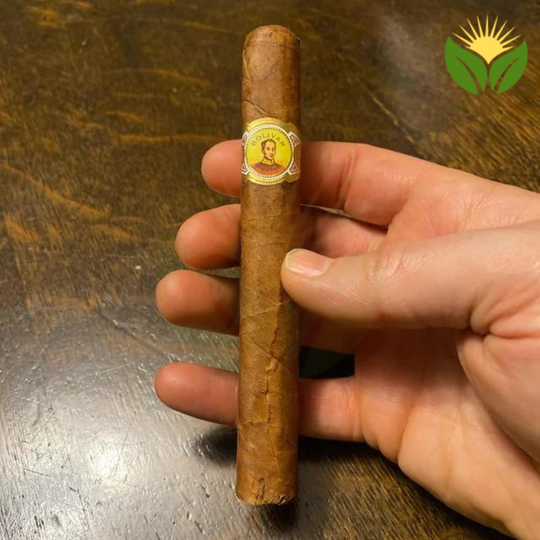 Bolivar Petit Coronas Cuban Cigar - Image 1