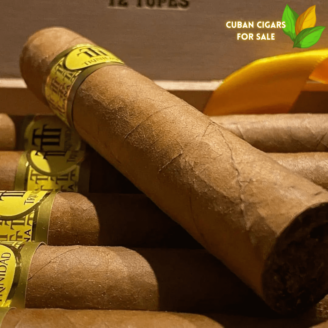 Trinidad Fundadores - A Brand Born from Cuba's Cigar Golden Age 1 Trinidad Robusto Extra Cuban Cigar - Image 1