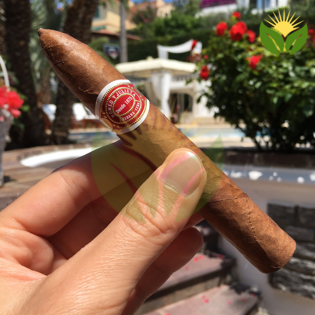 Romeo y Julieta Belicosos Cuban Cigar - Image 1
