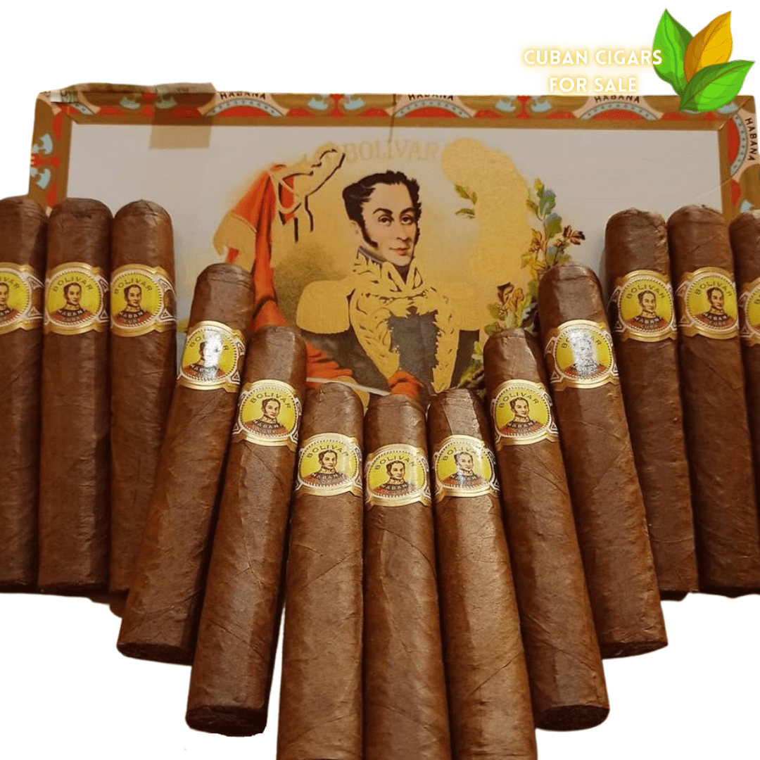 Bolivar Royal Corona 1 Bolivar Royal Corona - High Resolution