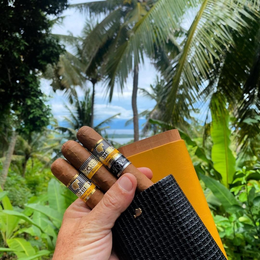 Cohiba Robusto Reserva Cosecha 2014 Cuban Cigar - Image 1