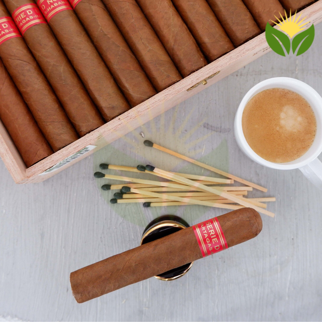 Partagas D4 2 Partagas D4 Cuban Cigar - Image 1