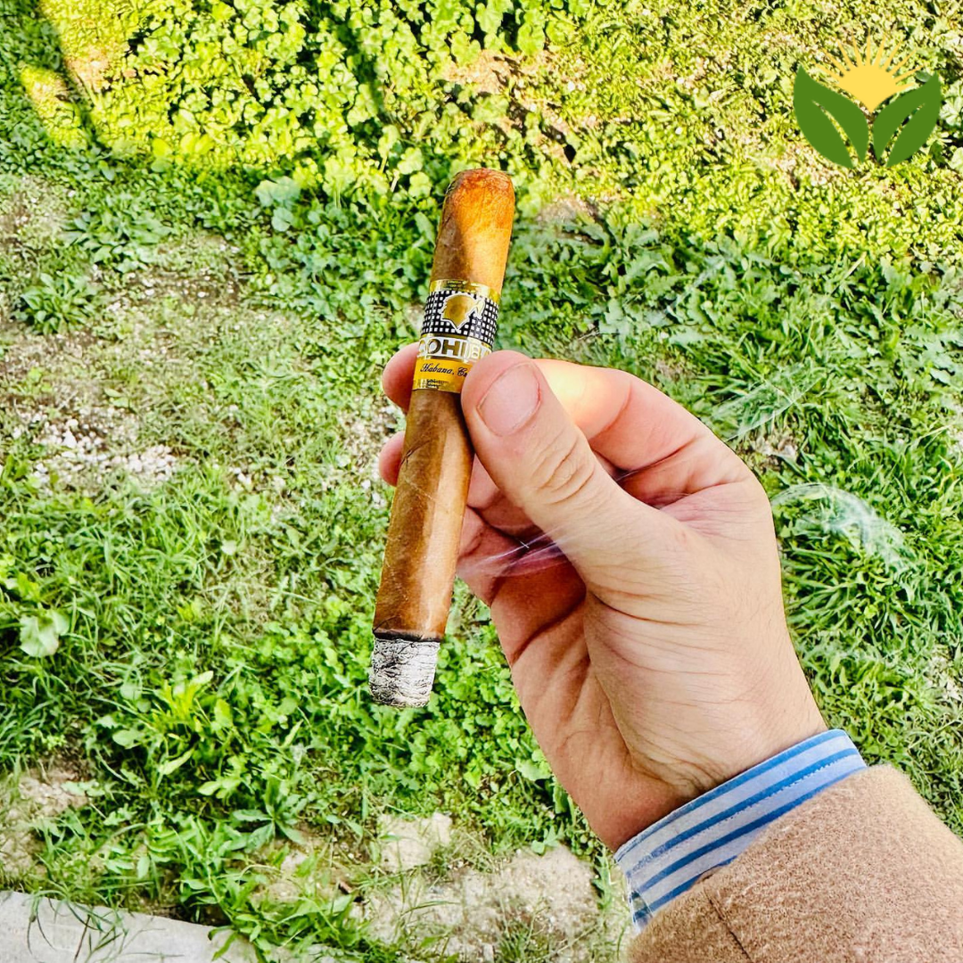 Cohiba Siglo II - Petit Corona Cuban Cigar 2 Cohiba Siglo II Cuban Cigar - Image 1