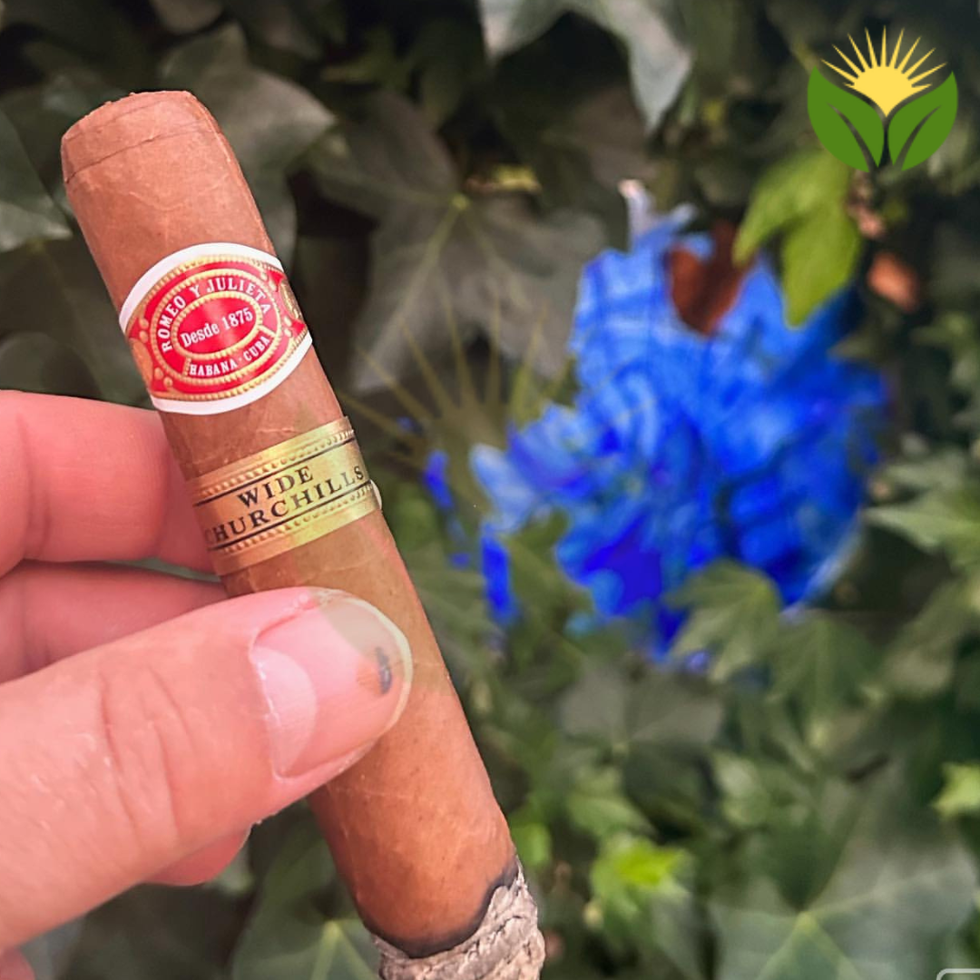 Romeo y Julieta Wide Churchill Box View - Authentic Habanos