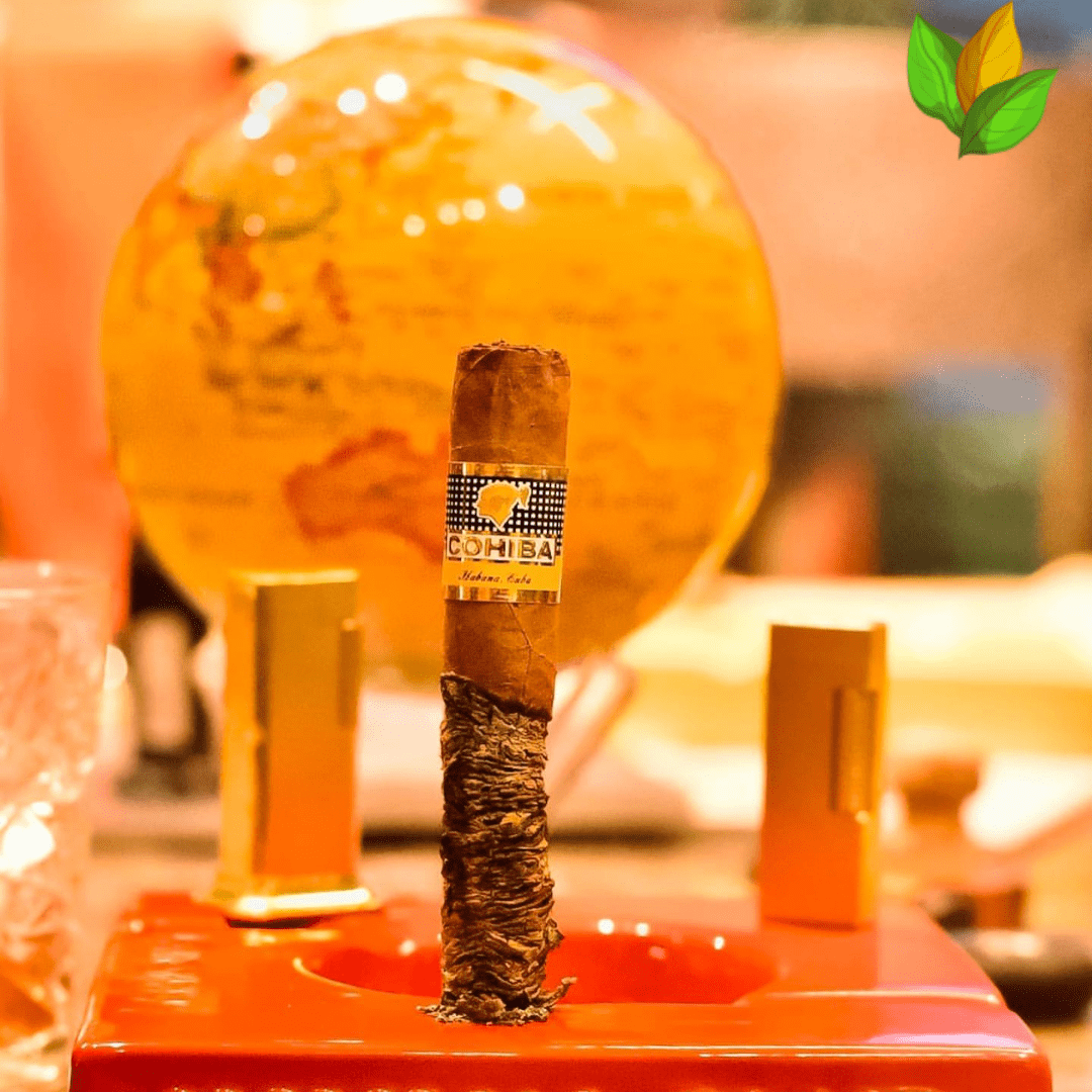 Cohiba Siglo VI Ceramic Jar Cuban Cigar - Image 1