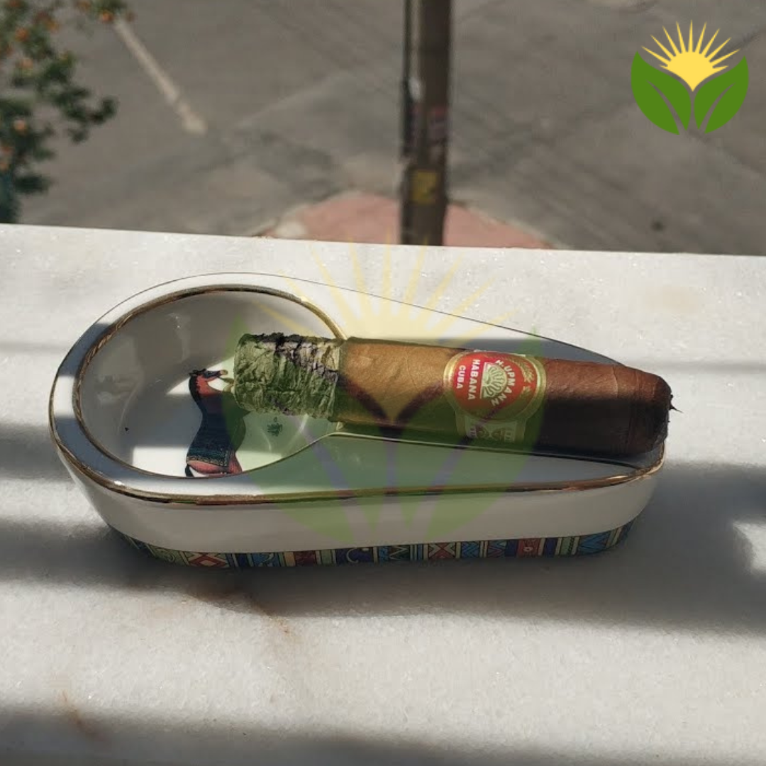 H Upmann Half Corona Cuban Cigar - Image 1