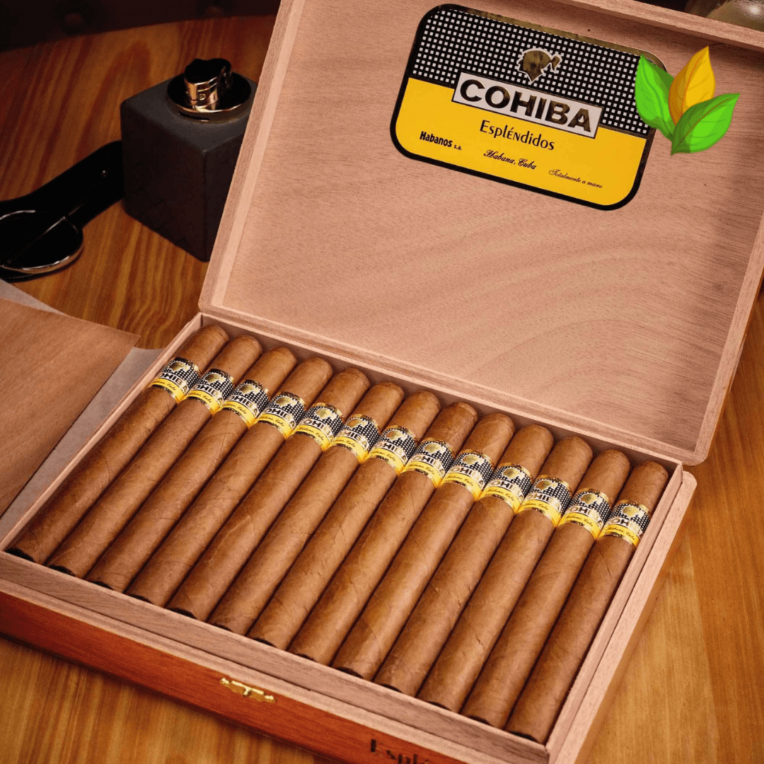 Cohiba Esplendidos Cuban Cigar - Image 1
