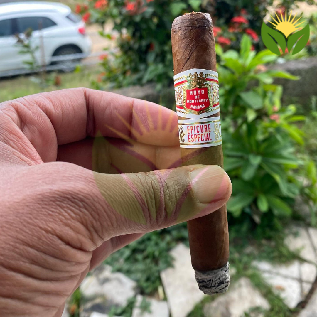 Hoyo de Monterrey Epicure Especial - Robusto Cuban Cigar 4 Hoyo de Monterrey Epicure Especial Cigar Close-up - Premium Quality