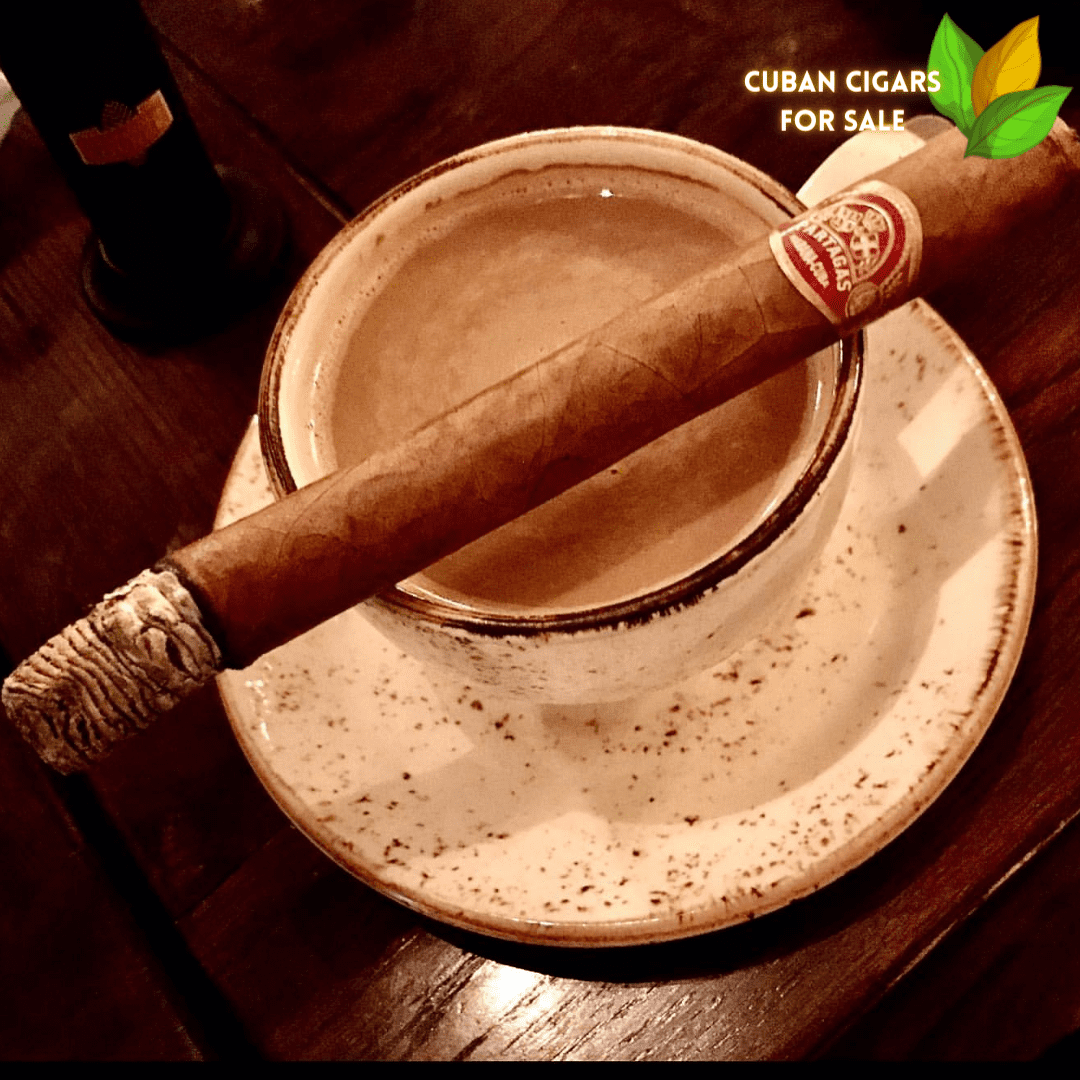 Partagas Salomon Cigar Close-up - Premium Quality