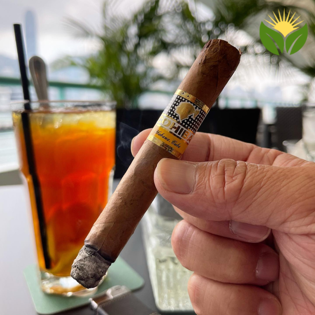 Cohiba Siglo II Box View - Authentic Habanos