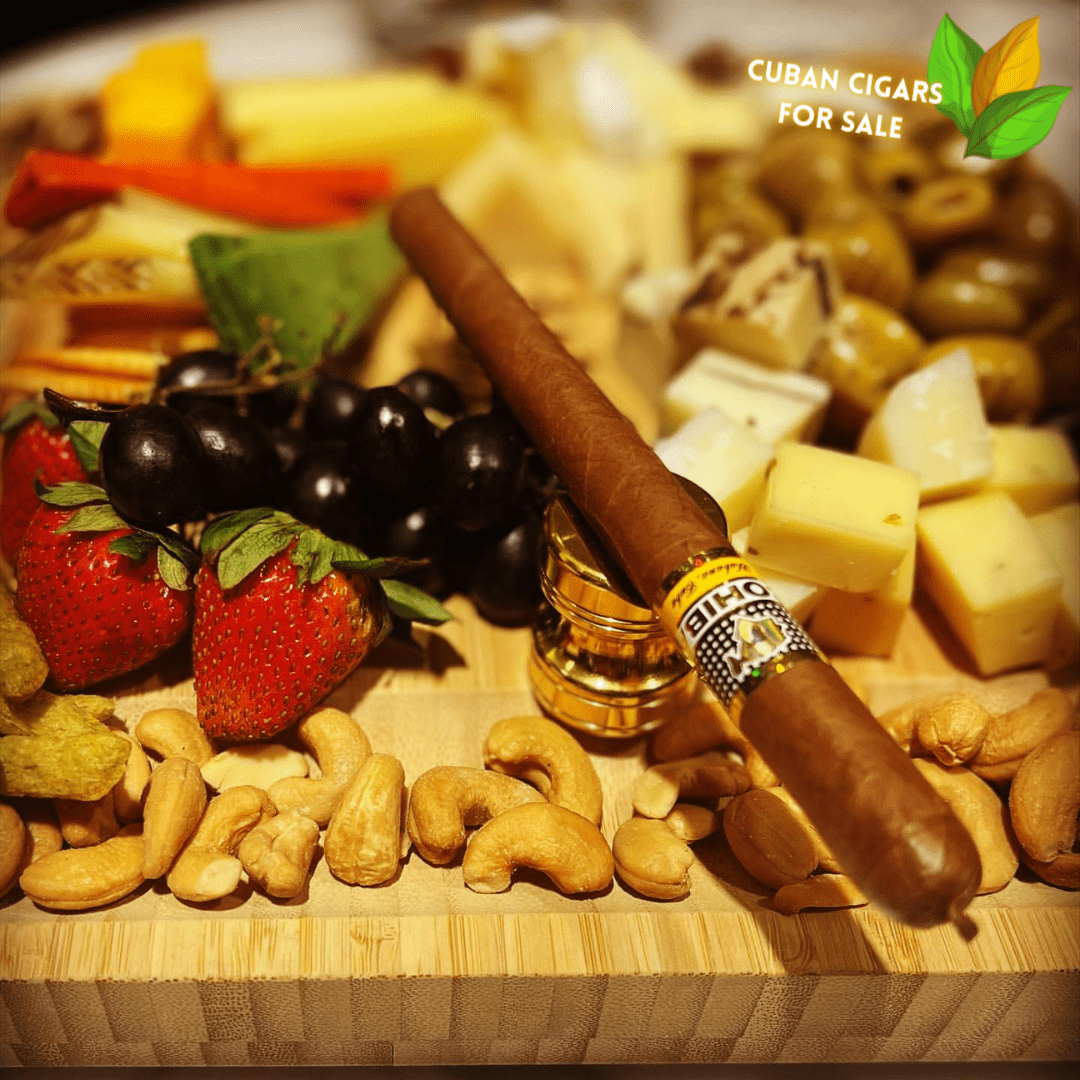 Cohiba Lanceros 25 Cigar Close-up - Premium Quality