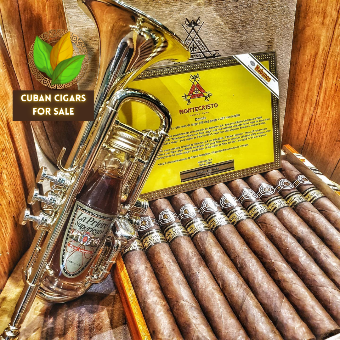 Montecristo Dantes Limited Edition 2016 Cuban Cigars - Detail View