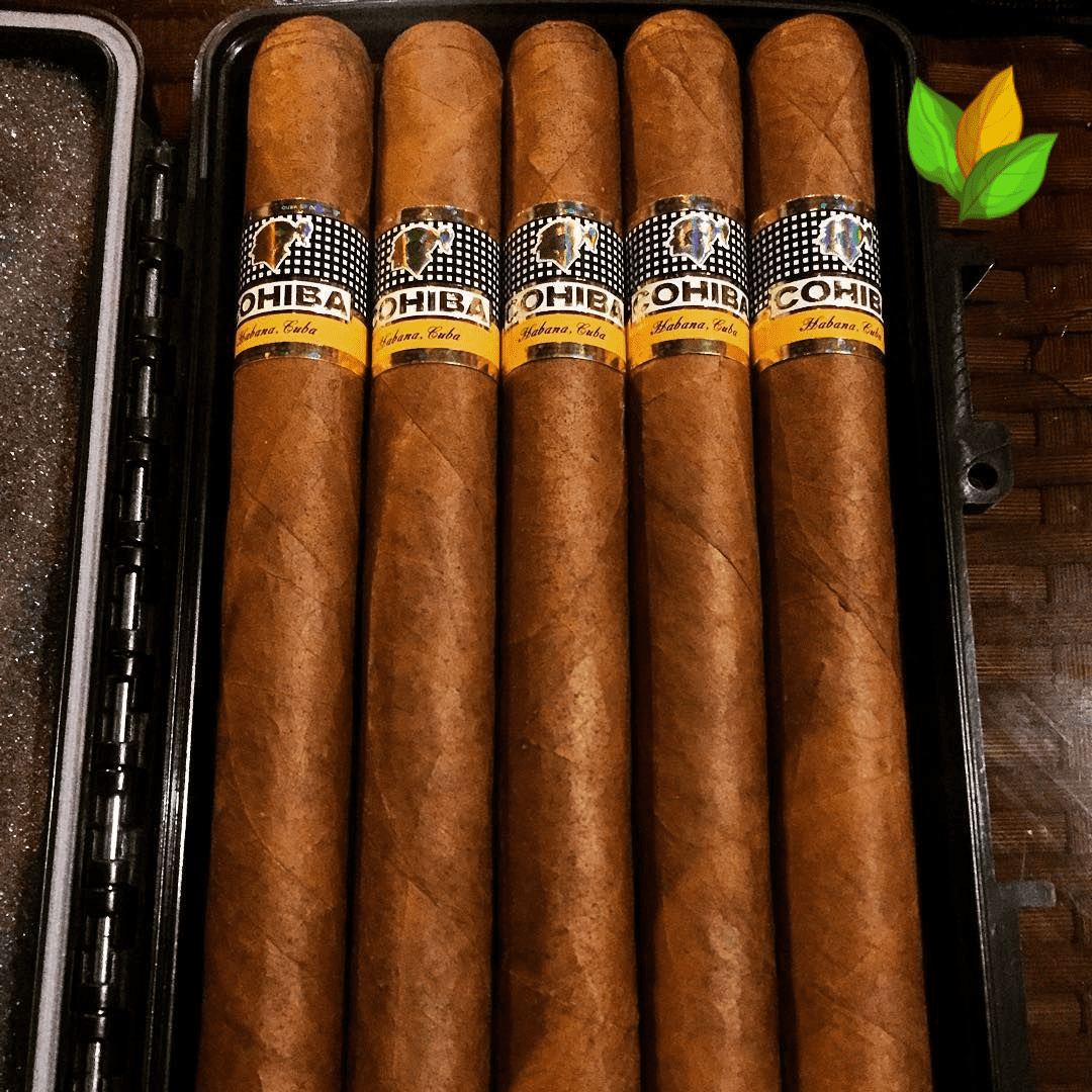Cohiba Esplendidos - The Flagship Cigar of the Brand 1 Cohiba Esplendidos - The Flagship Cigar of the Brand