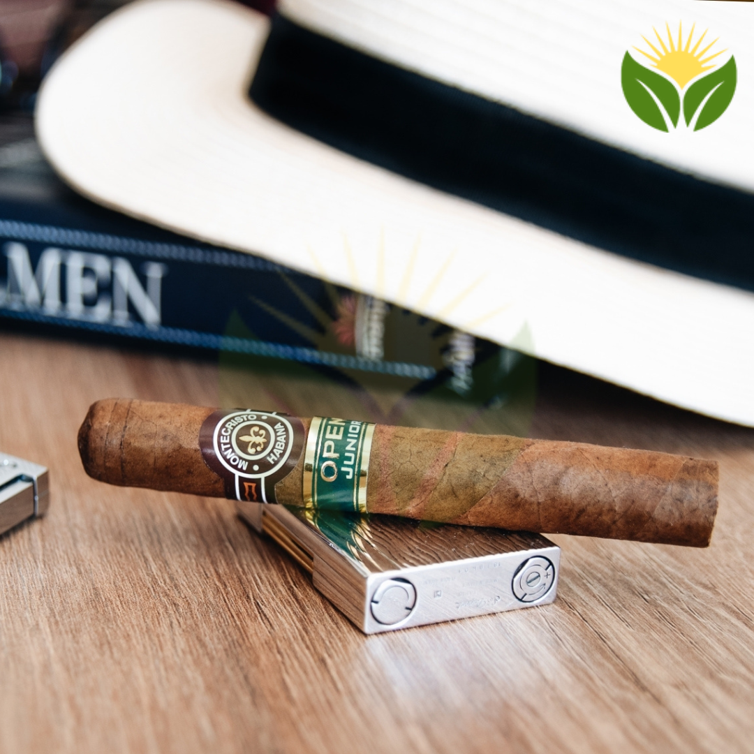 Montecristo Open Junior Box View - Authentic Habanos