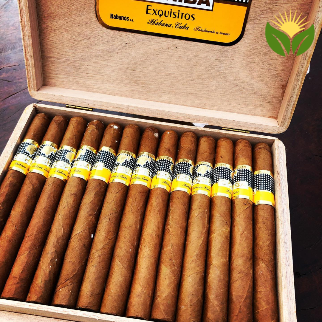 Cohiba Exquisitos 3 Cohiba Exquisitos Box View - Authentic Habanos