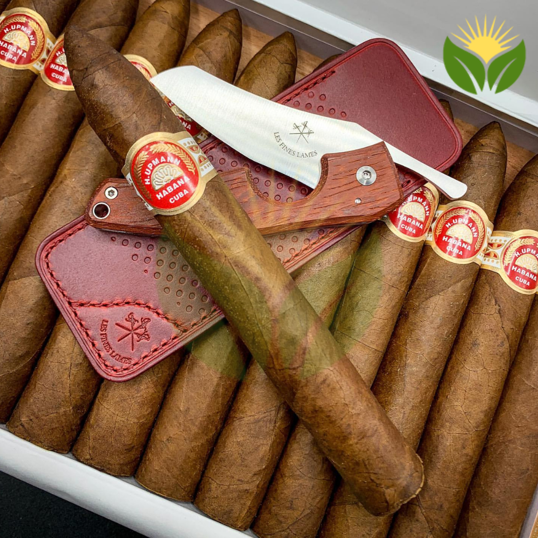 H Upmann No 2 2 H Upmann No 2 Cuban Cigar - Image 1