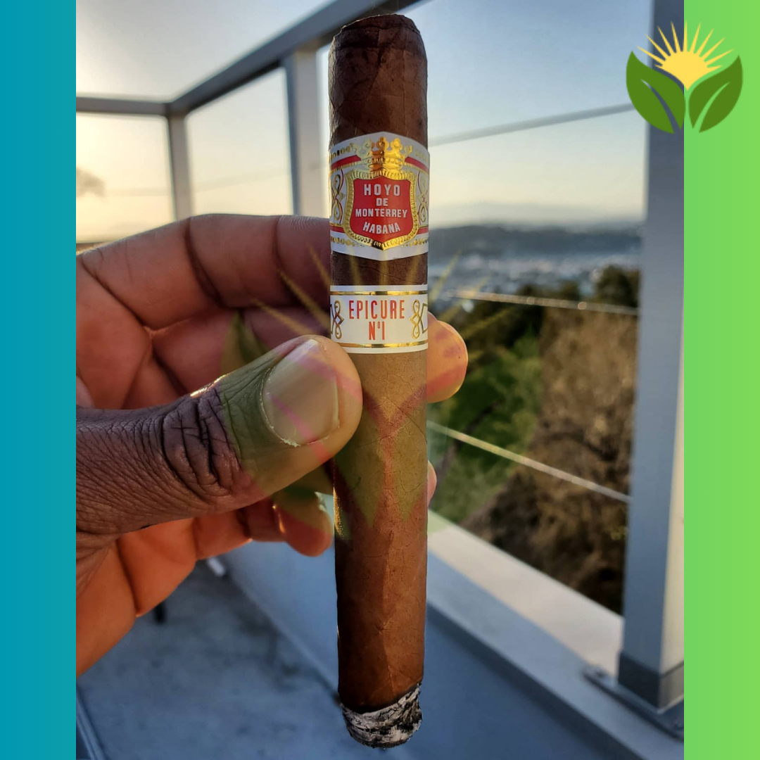 Hoyo de Monterrey Epicure No. 1 Box View - Authentic Habanos