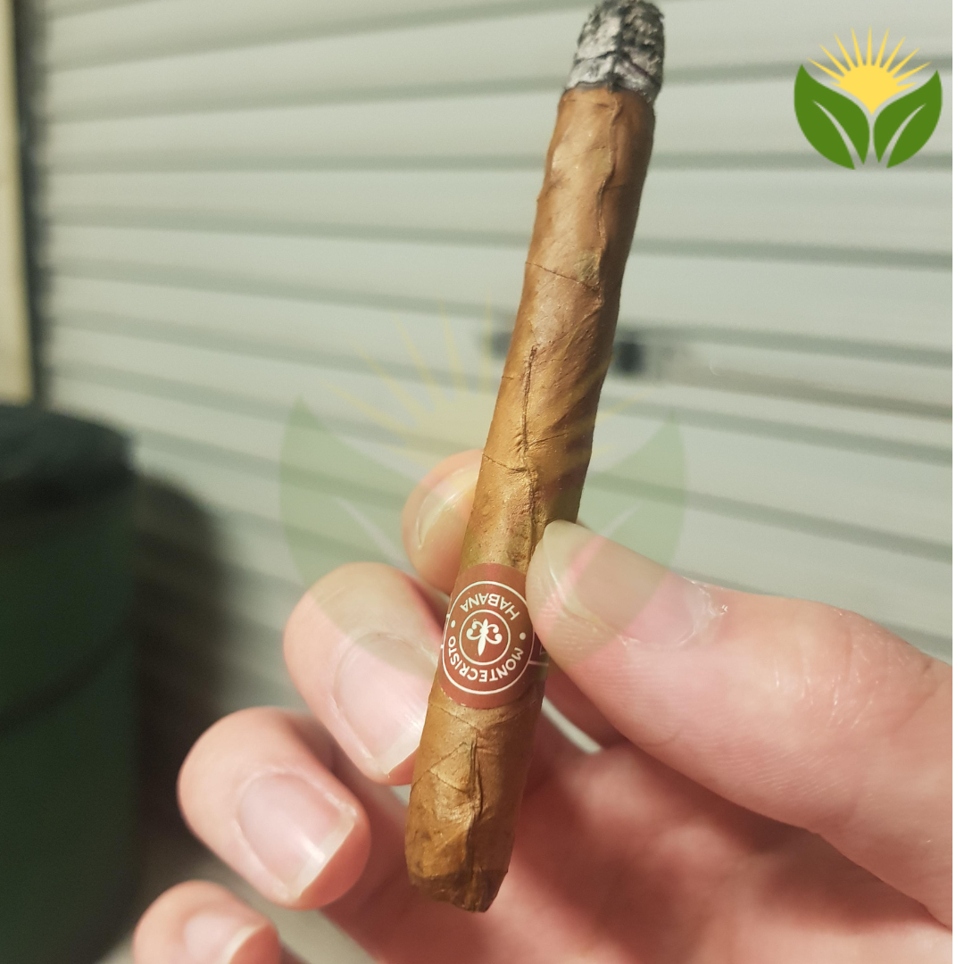 Montecristo Puritos Cuban Cigar - Image 1