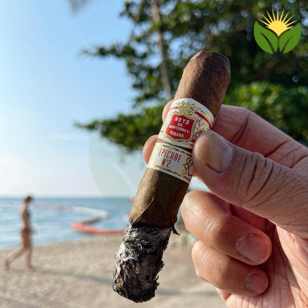 Hoyo de Monterrey Epicure No. 2 Box View - Authentic Habanos
