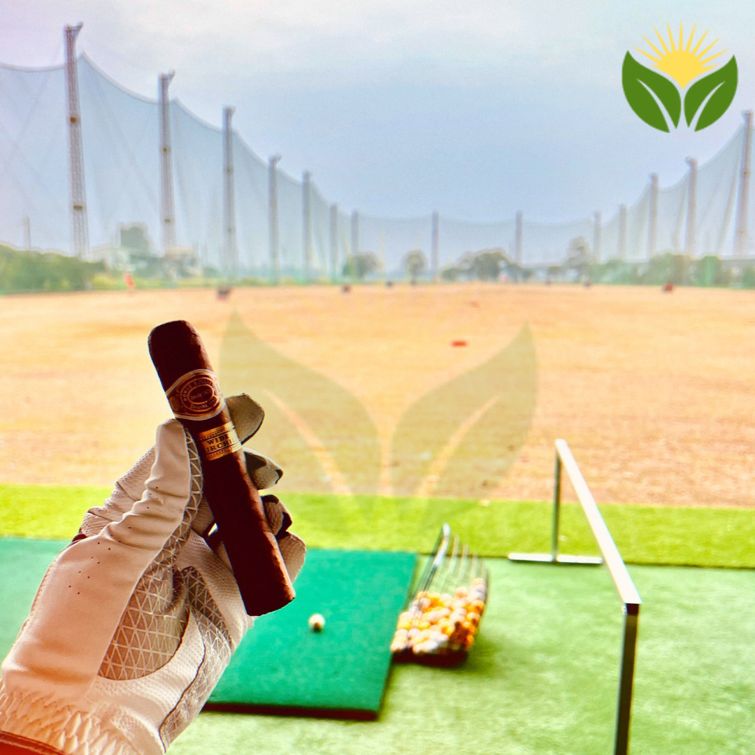 Storing and Aging Romeo y Julieta Cigars - Tips and Tricks 1 Storing and Aging Romeo y Julieta Cigars - Tips and Tricks