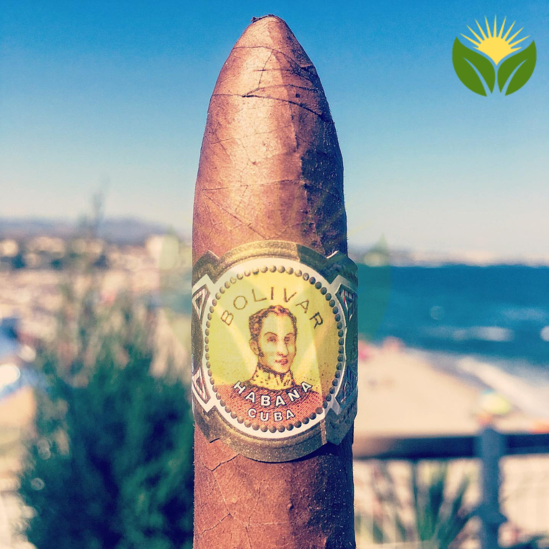 Bolivar Belicosos Box View - Authentic Habanos