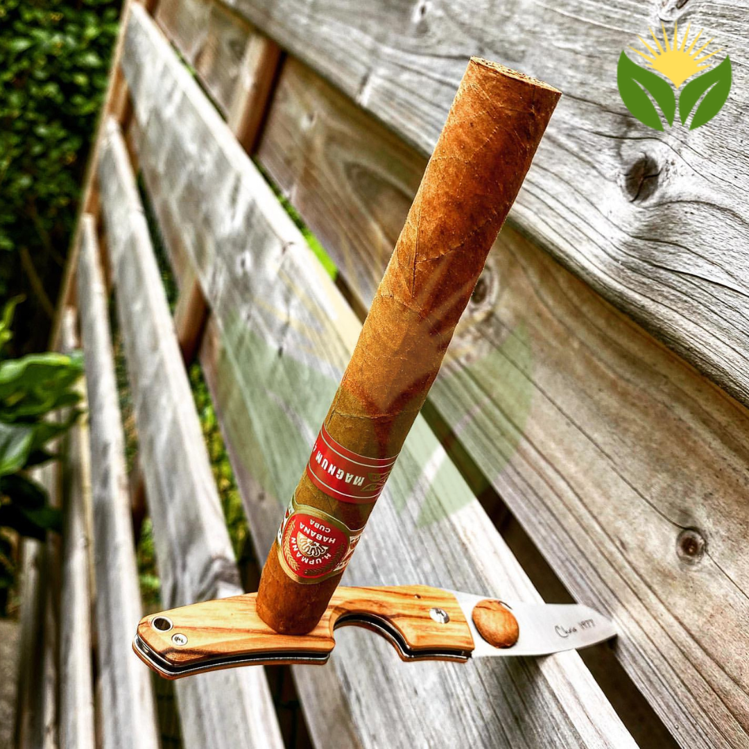 H. Upmann Cigars - The Ultimate Guide to a Renowned Cuban Brand 1 H. Upmann Cigars - Where to Buy Them and How to Spot Fakes