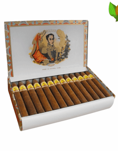 Bolivar Belicosos - High Resolution