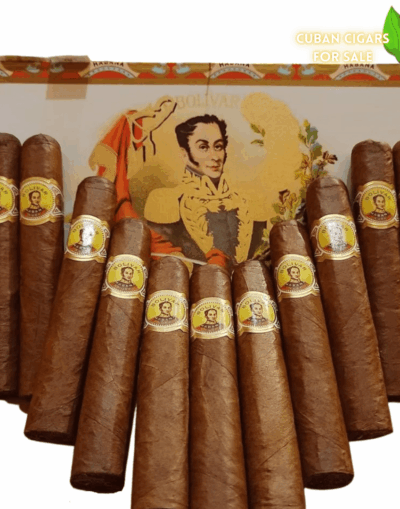 Bolivar Royal Corona - High Resolution