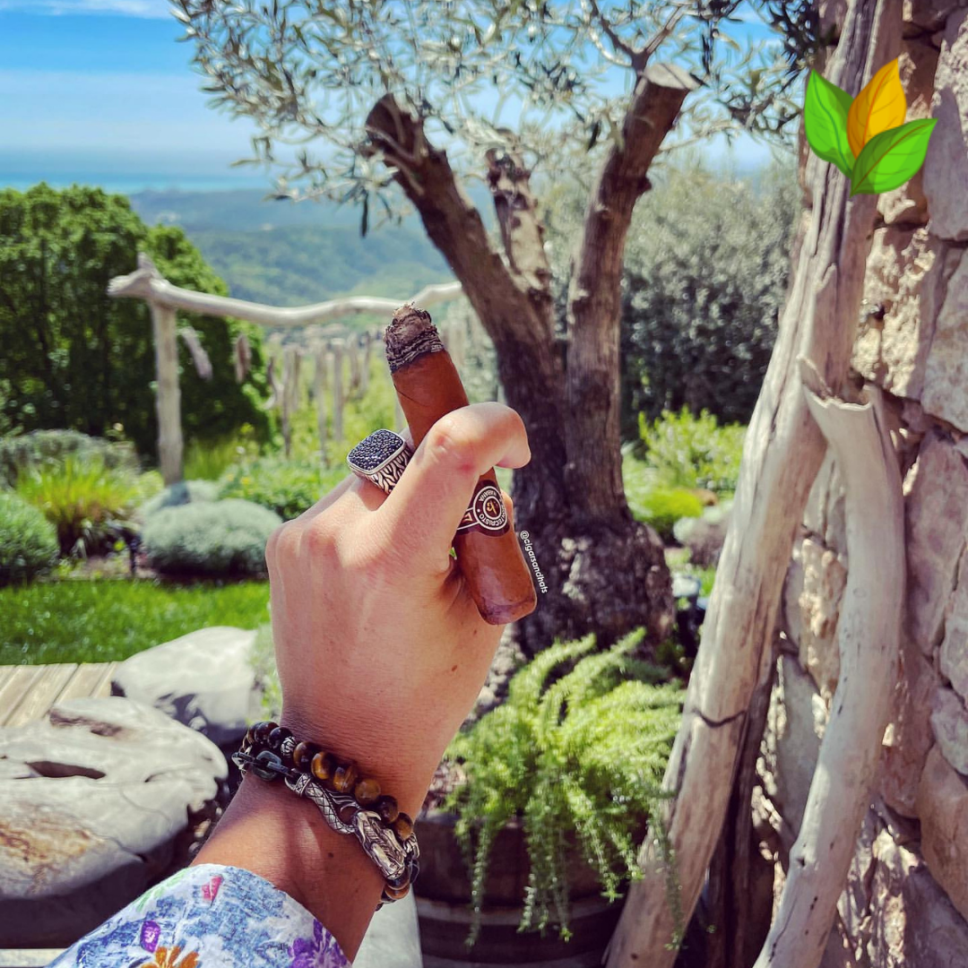 Montecristo Double Corona Limited Edition 2001 3 Montecristo Double Corona Limited Edition 2001 Box View - Authentic Habanos