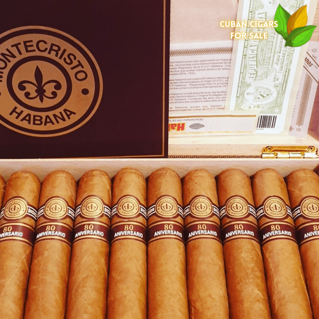 Montecristo 80 anniversario Cigar Close-up - Premium Quality