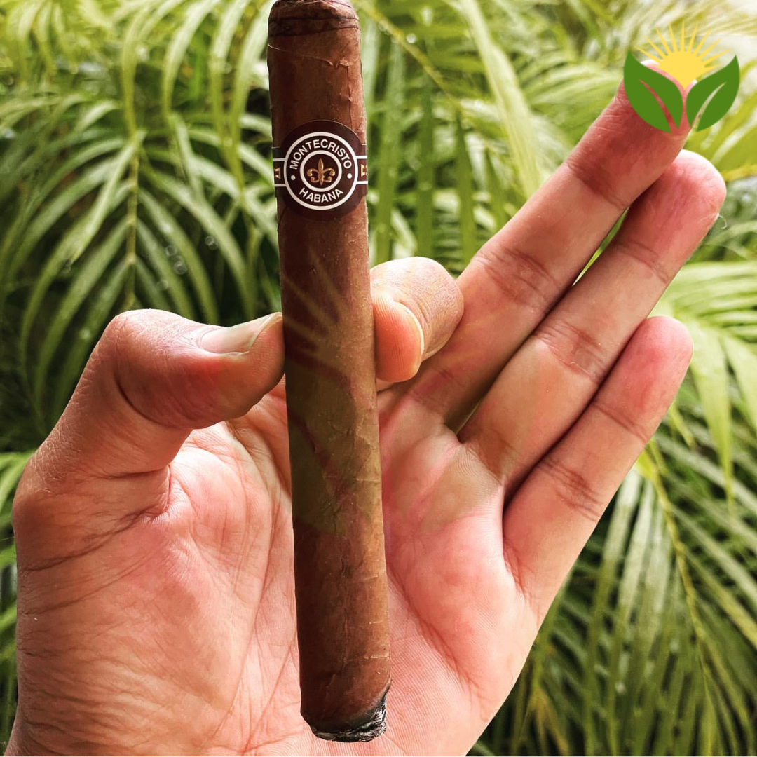 Montecristo No 3 Box View - Authentic Habanos