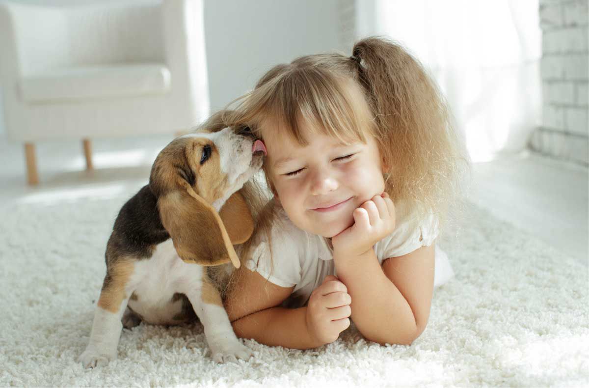 Pet 1200 pet cleaning