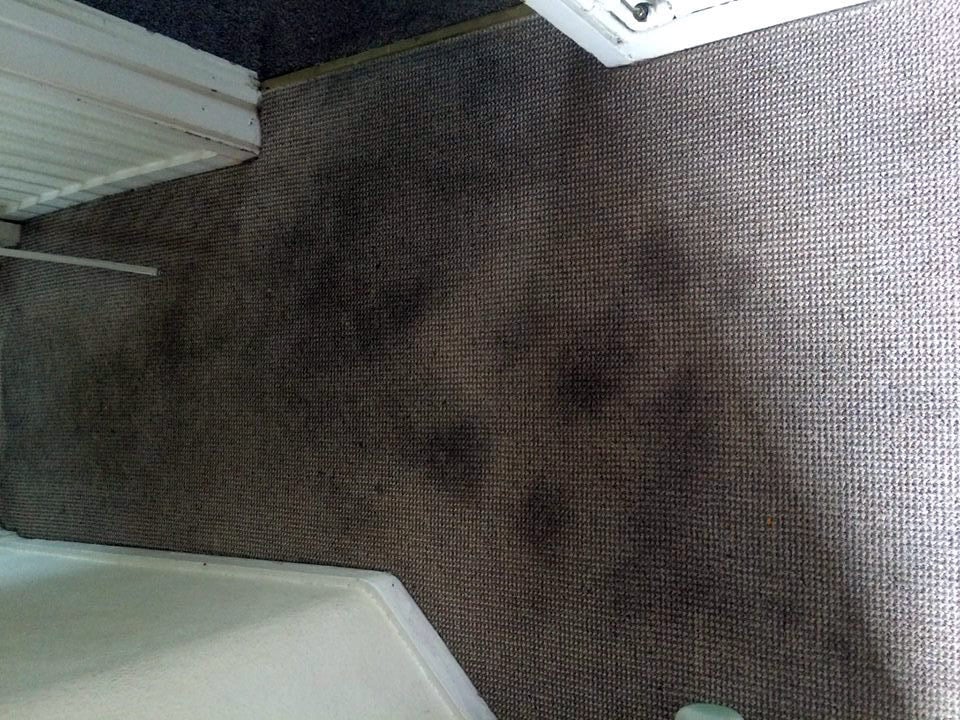 muddy-carpet carpet cleaning stains