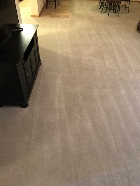 recommend everet carpet cleaning service