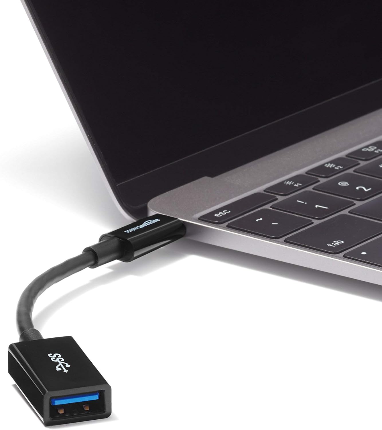 Amazon Basics Female Adapter Cable Converter